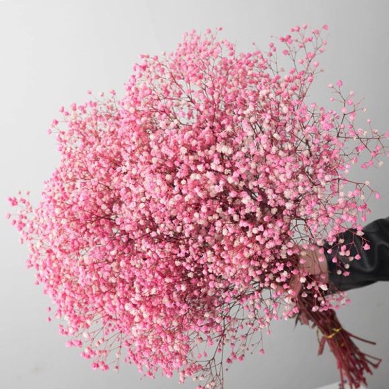 How to Make a Gorgeous Baby's Breath Flower Bouquet - Pampas Design 🌿