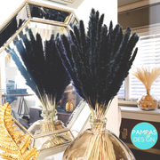 Orange Pampas Grass