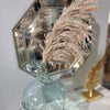 Droopy XL Fluffy Pampas Grass - Style Sophia