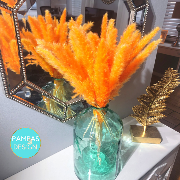 Orange Pampas Grass