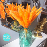 Dusty Orange Pampas Grass