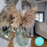 Droopy XL Fluffy Pampas Grass - Style Sophia