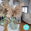 Droopy XL Fluffy Pampas Grass - Style Sophia