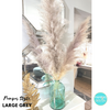Fluffy Grey Feather Pampas Grass