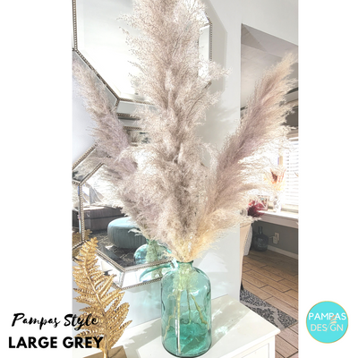 Fluffy Grey Feather Pampas Grass