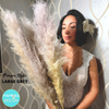 Fluffy Grey Feather Pampas Grass
