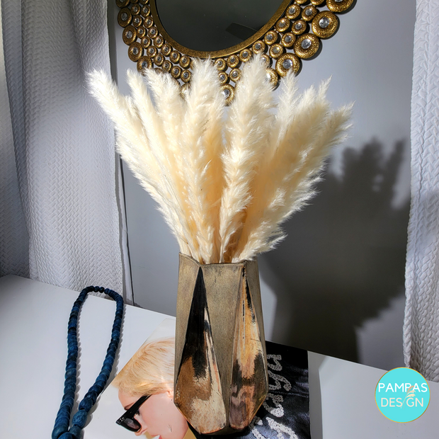 Beige Pampas Grass