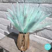 Orange Pampas Grass