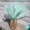 Black Pampas Grass