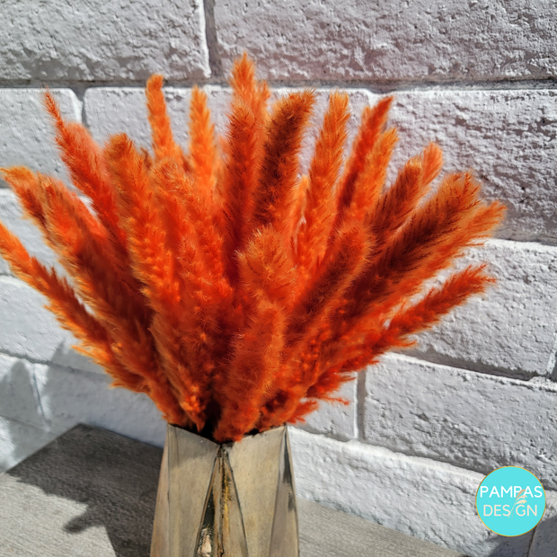 Dusty Orange Pampas Grass