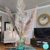 Fluffy Grey Feather Pampas Grass
