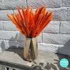 Blue Pampas Grass