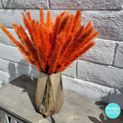 Dusty Orange Pampas Grass