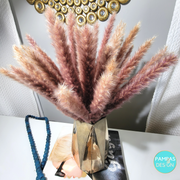 Pink Pampas Grass