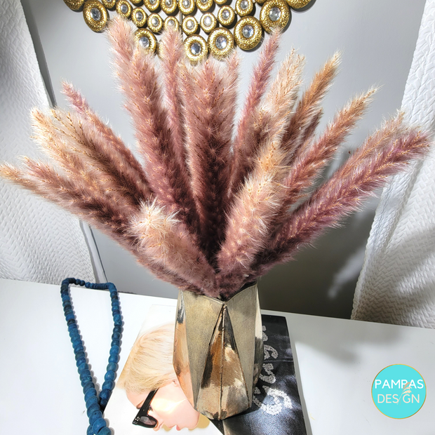 Orange Pampas Grass