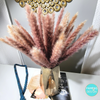 Brown Pampas Grass