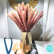 Orange Pampas Grass