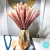 Brown Pampas Grass