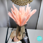 Orange Pampas Grass