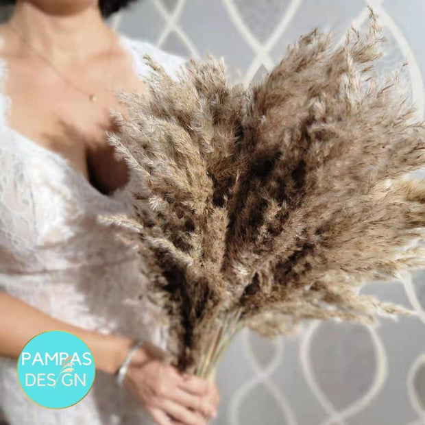 Fluffy Pampas Grass - Style Bella