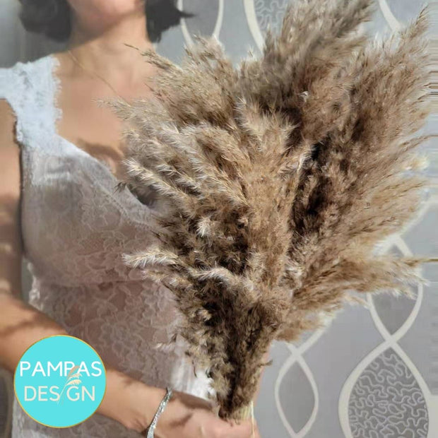 Fluffy Pampas Grass - Style Bella