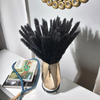 Black Pampas Grass