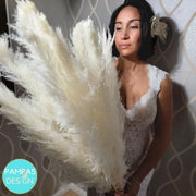 Large Fluffy Soft Pampas Grass White - Style Emma