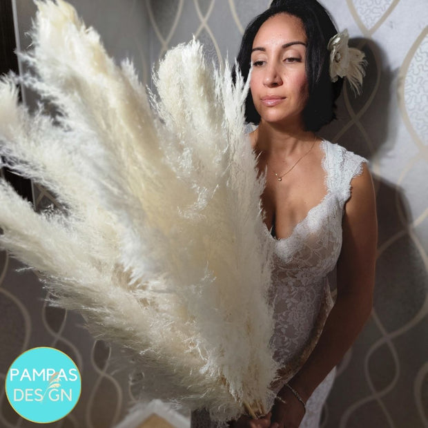 Large Fluffy Soft Pampas Grass White - Style Emma