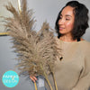 Droopy XL Fluffy Pampas Grass - Style Sophia