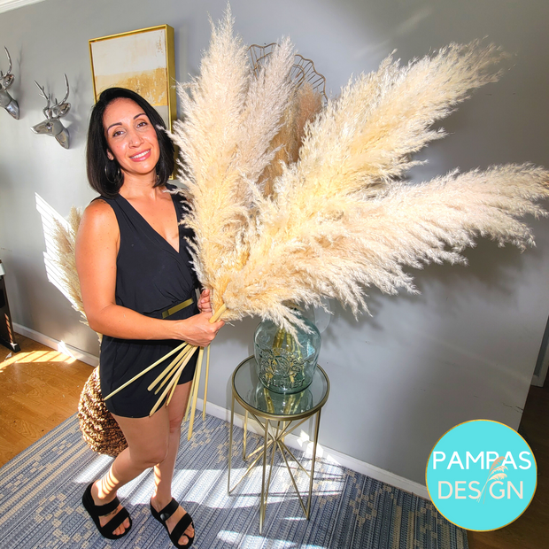 Extra Large Fluffy Pampas Grass