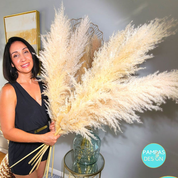 Extra Large Fluffy Pampas Grass