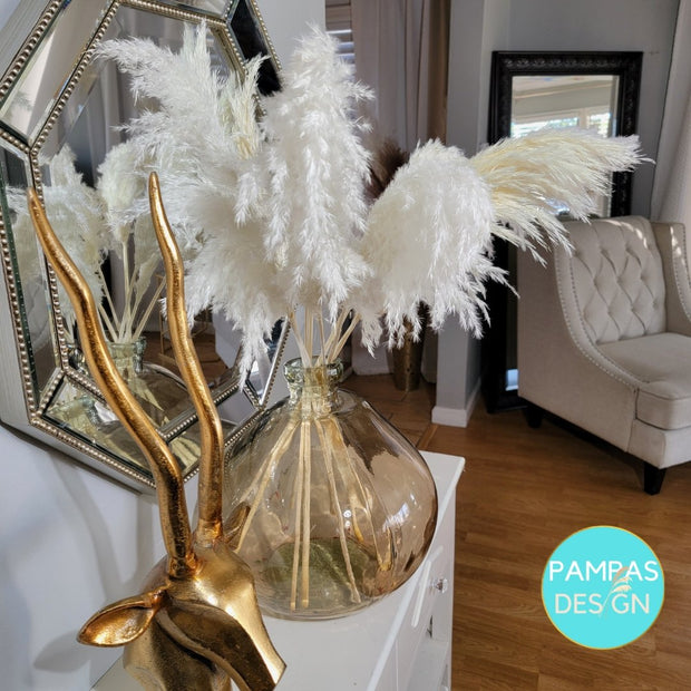 Bleached White Fluffy Pampas Grass - Style Bella - Pampas Design