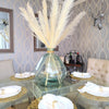 Bleached White Pampas Grass - Style Snow White - Pampas Design