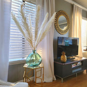 Bleached White Pampas Grass - Style Snow White - Pampas Design