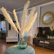 Bleached White Pampas Grass - Style Snow White - Pampas Design