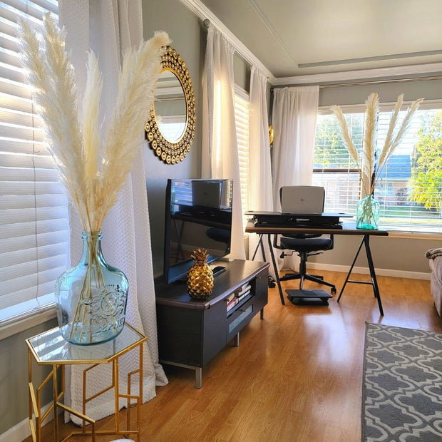 Bleached White Pampas Grass - Style Snow White - Pampas Design