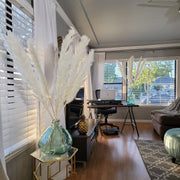 Bleached White Pampas Grass - Style Snow White - Pampas Design