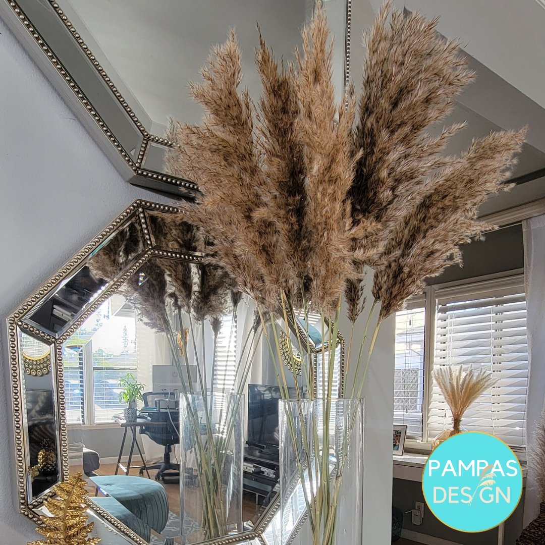 Fluffy Pampas Grass - Style Bella - Pampas Design