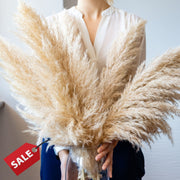 Fluffy Pampas Grass - Style Stella - Pampas Design