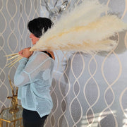 Large Fluffy Soft Pampas Grass White - Style Emma - Pampas Design