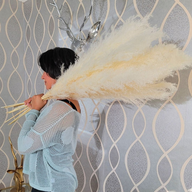 Large Fluffy Soft Pampas Grass White - Style Emma - Pampas Design
