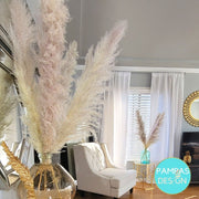 NEW Extra Large Fluffy Pampas Grass - Style Gia - Pampas Design