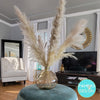 NEW Extra Large Fluffy Pampas Grass - Style Gia - Pampas Design