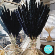 TABLETOP PAMPAS GRASS - BLACK - Pampas Design